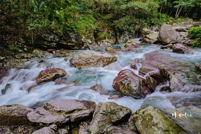 逃离水虎鱼湖